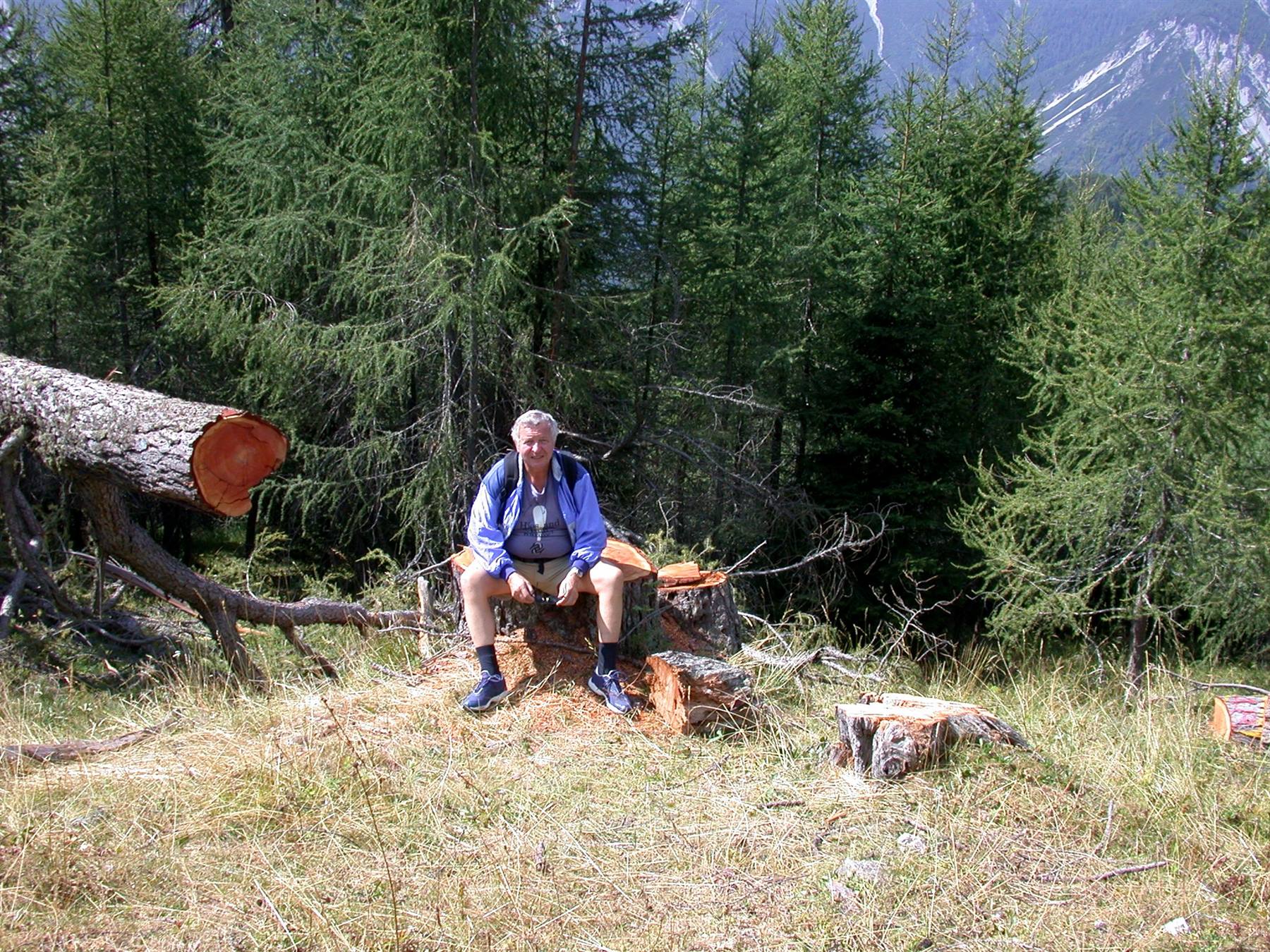 Forni di Sopra