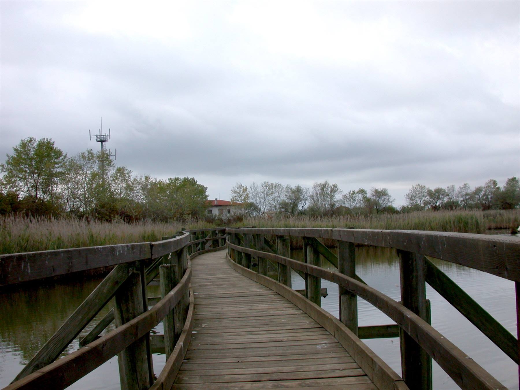 Marano Lagunare