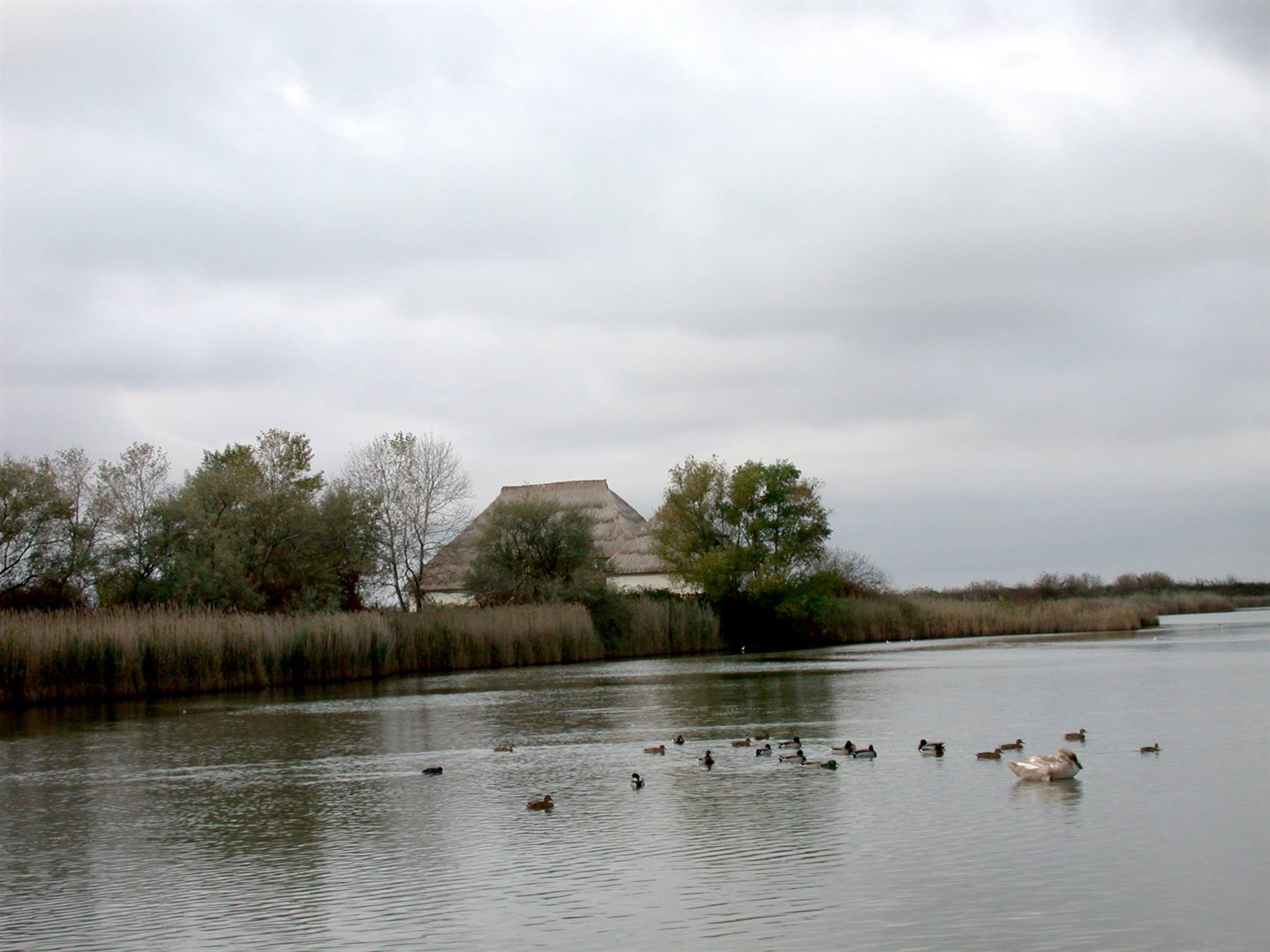 Marano Lagunare