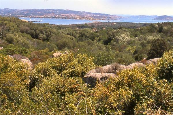Sardegna