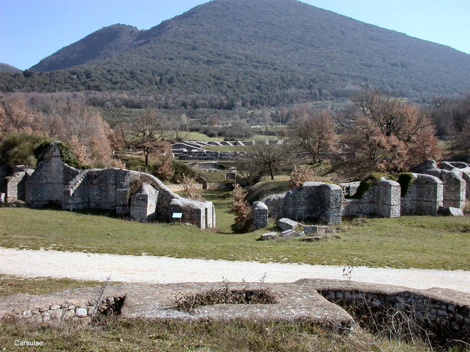Carsulae 