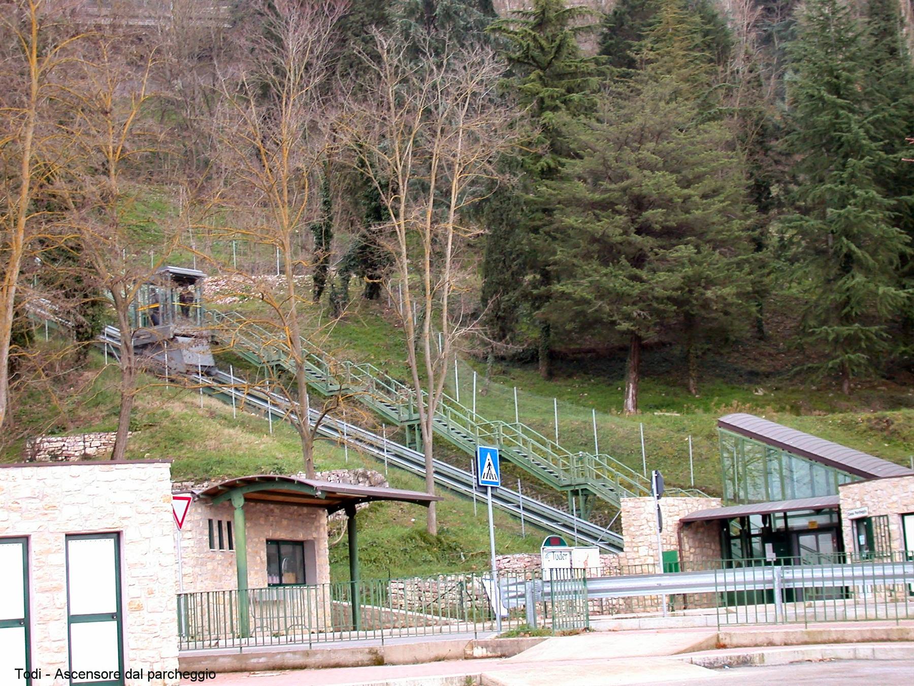 Todi