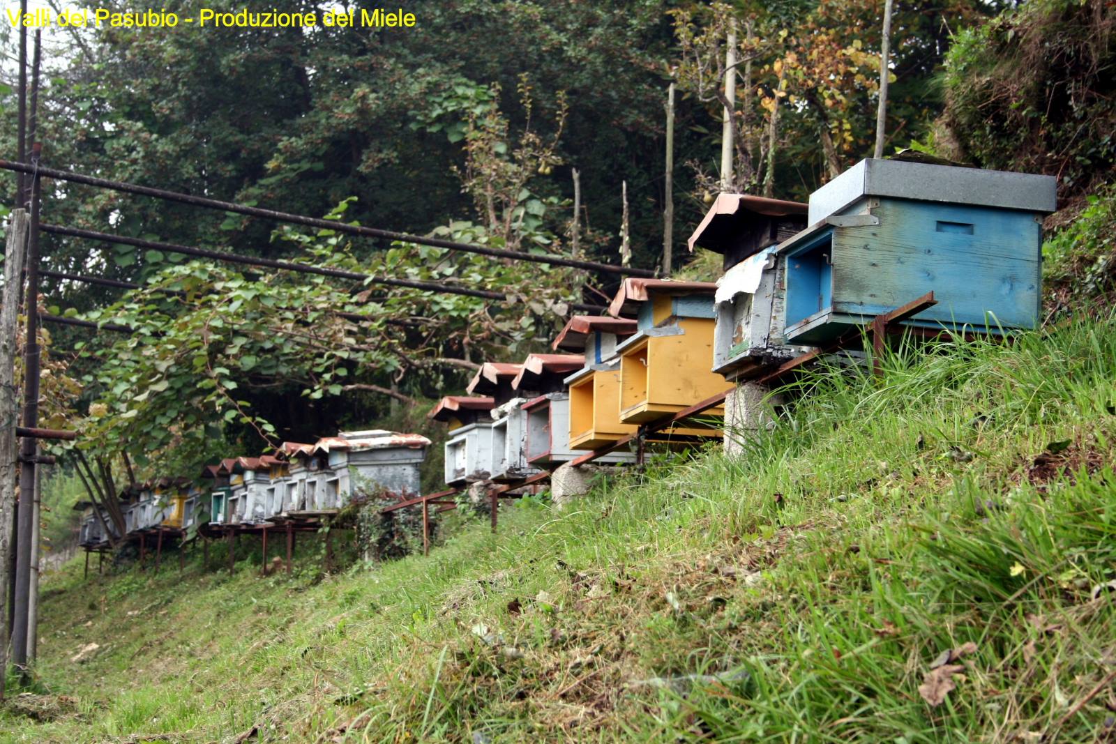Valli del Pasubio - Produzione del Miele