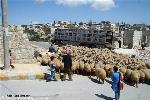 Siria - Qalah Siman