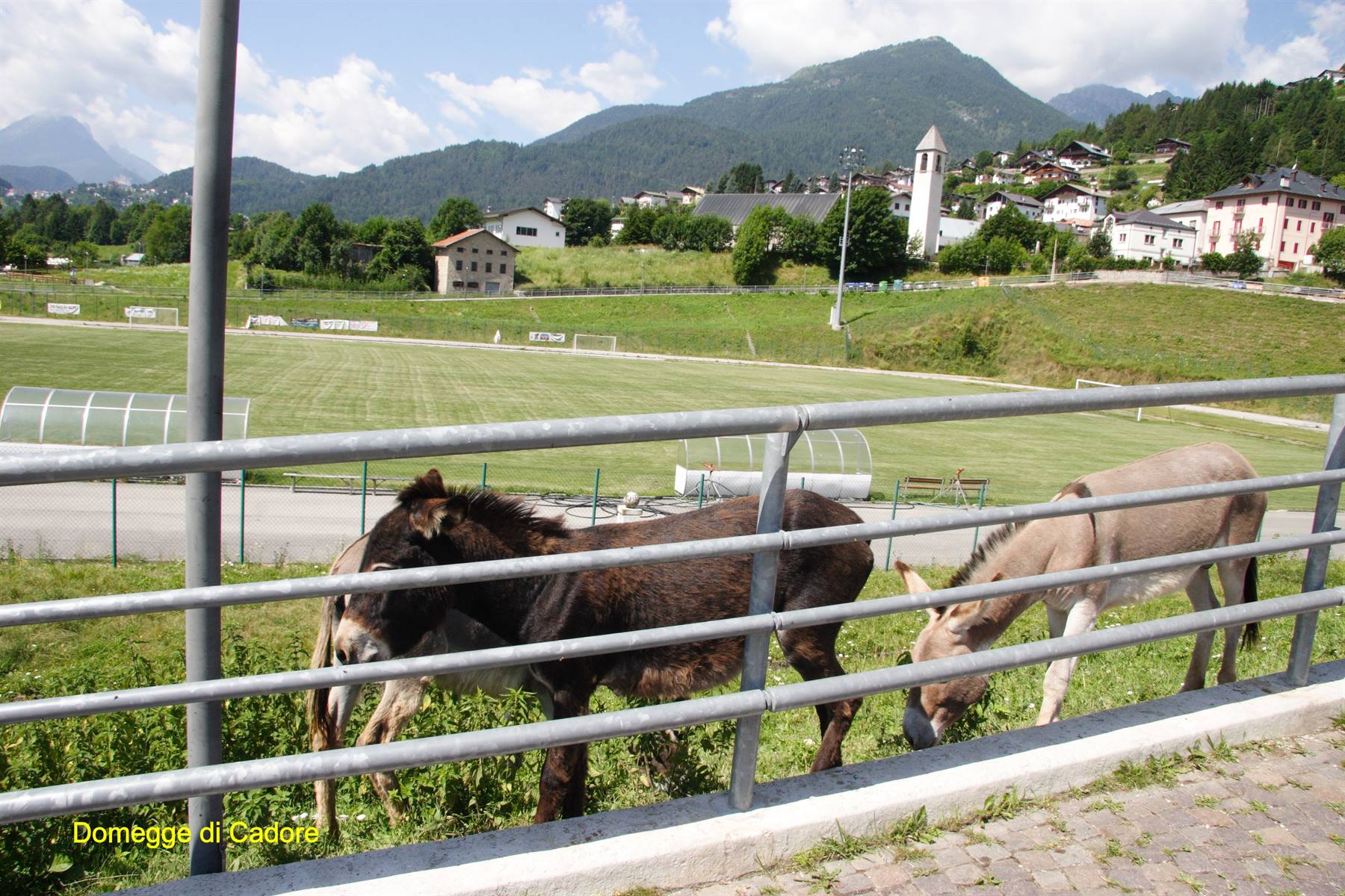 Domegge di Cadore 