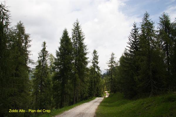 Pecol di Zoldo Alto - Pian del Crep