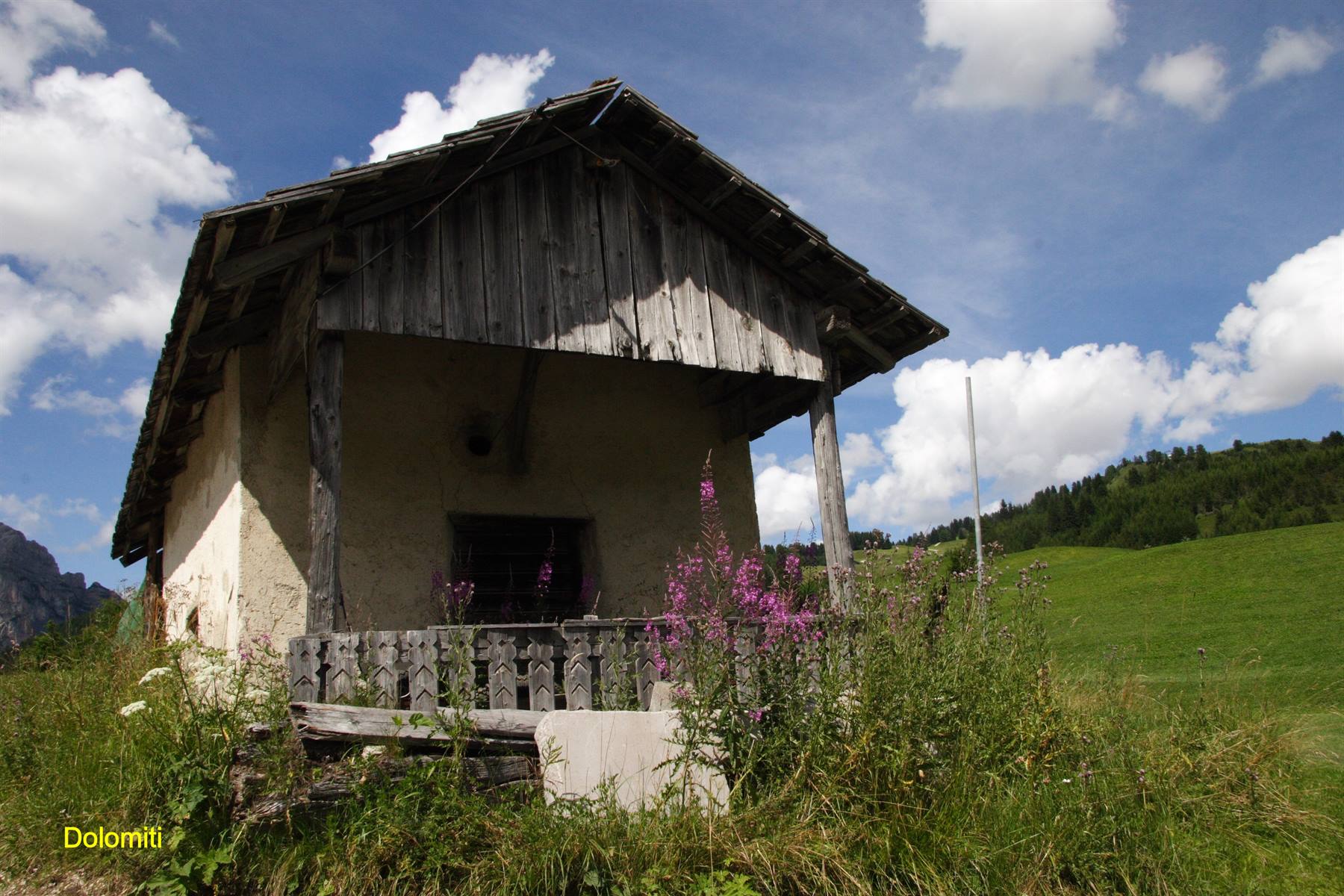 Dolomiti