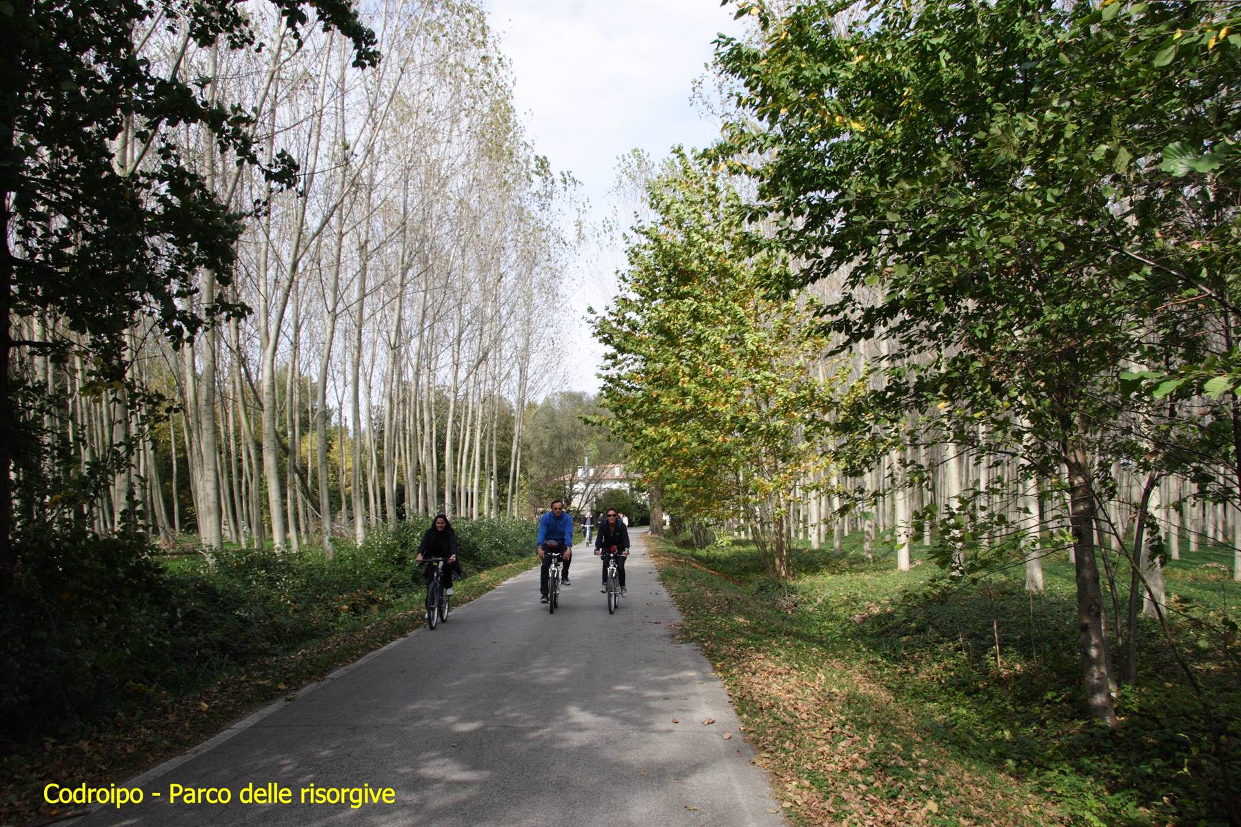 Codroipo - Parco delle risorgive