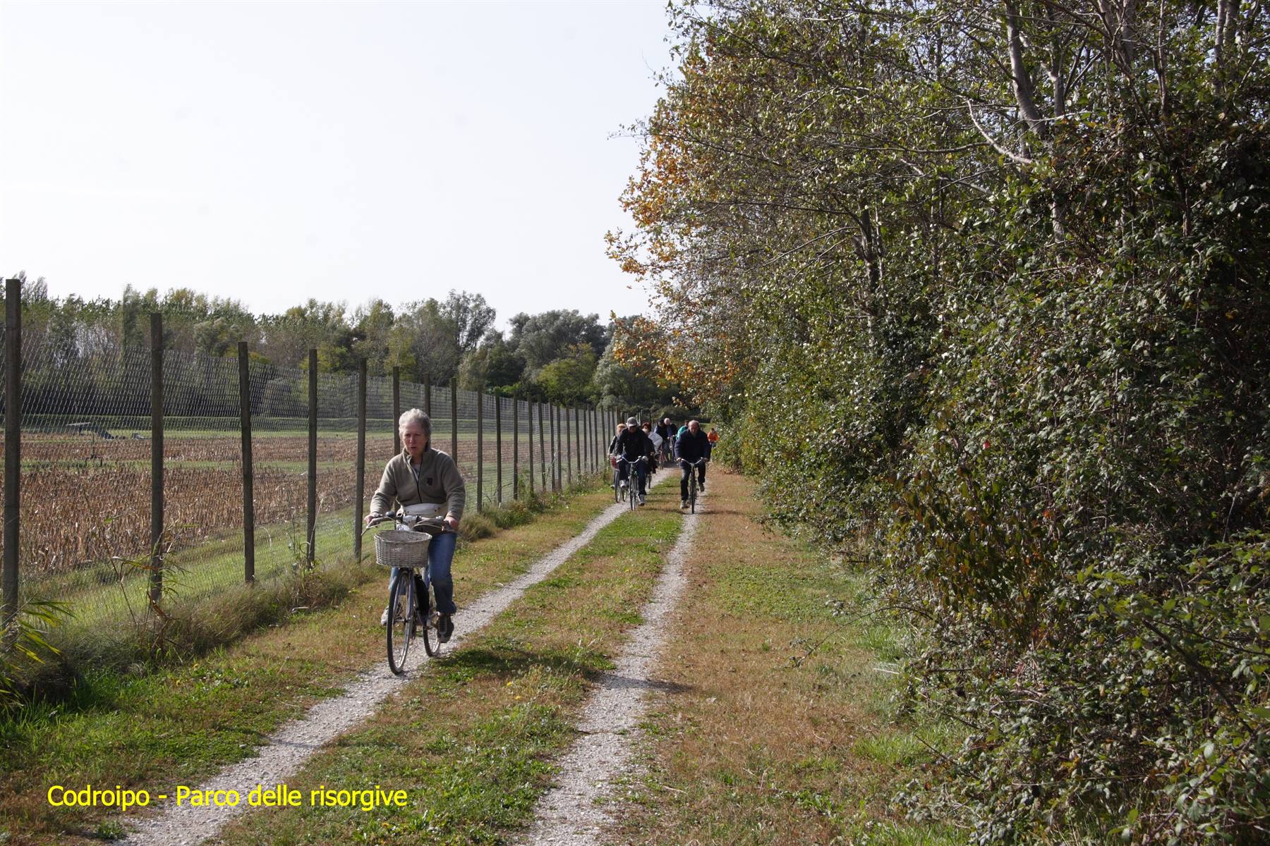 Codroipo - Parco delle risorgive