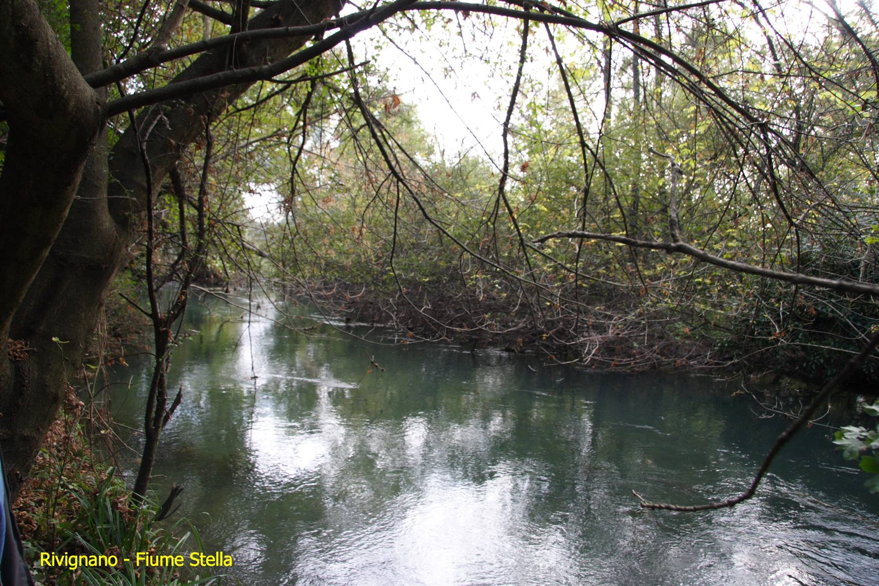Rivignano - Fiume Stella