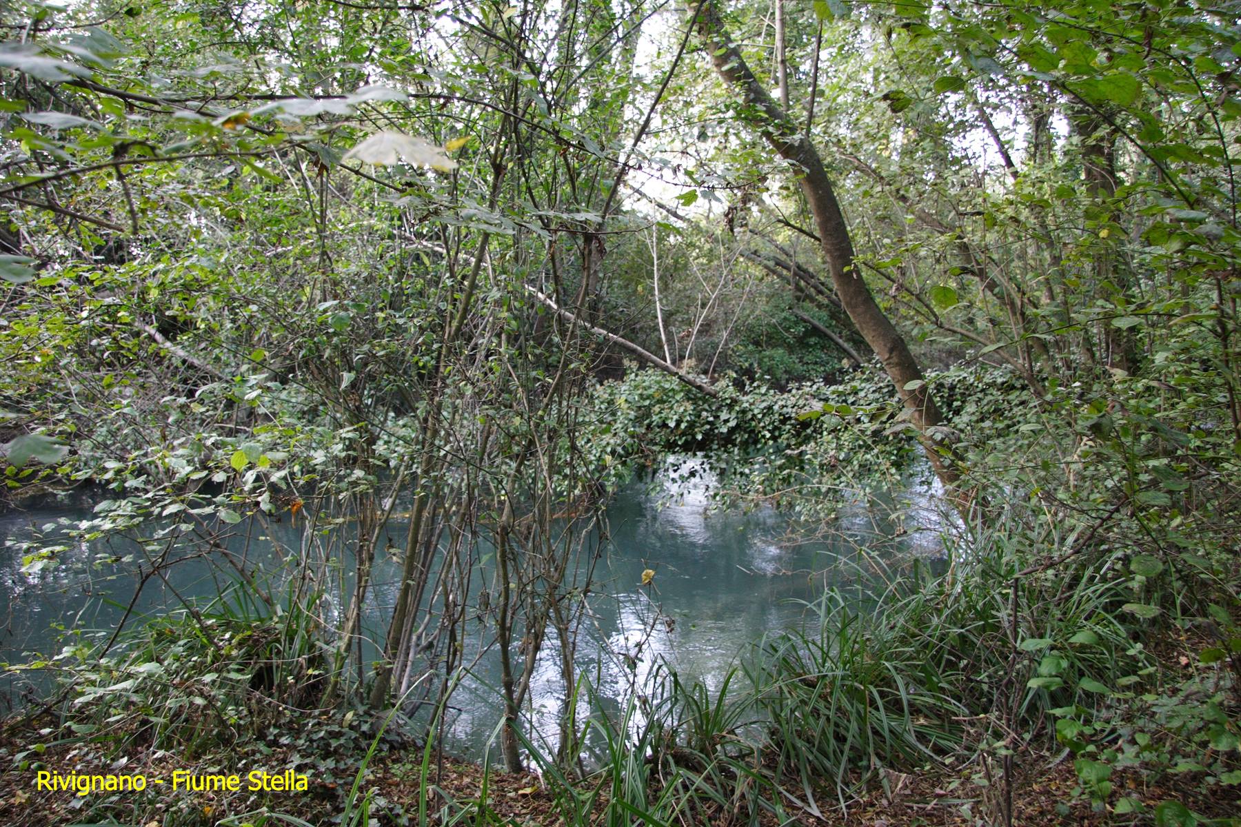 Rivignano - Fiume Sella