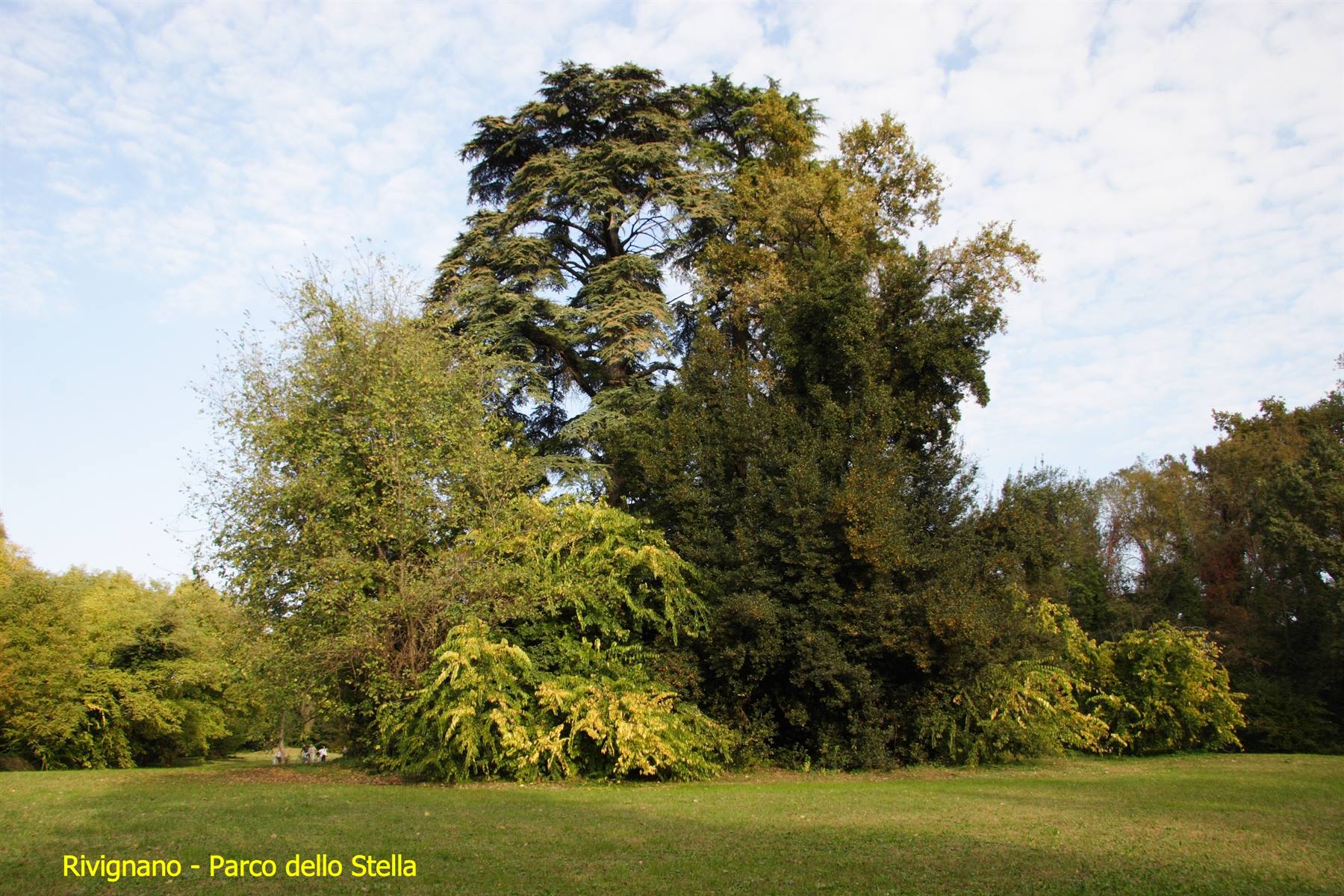 Rivignano - Parco dello Stella