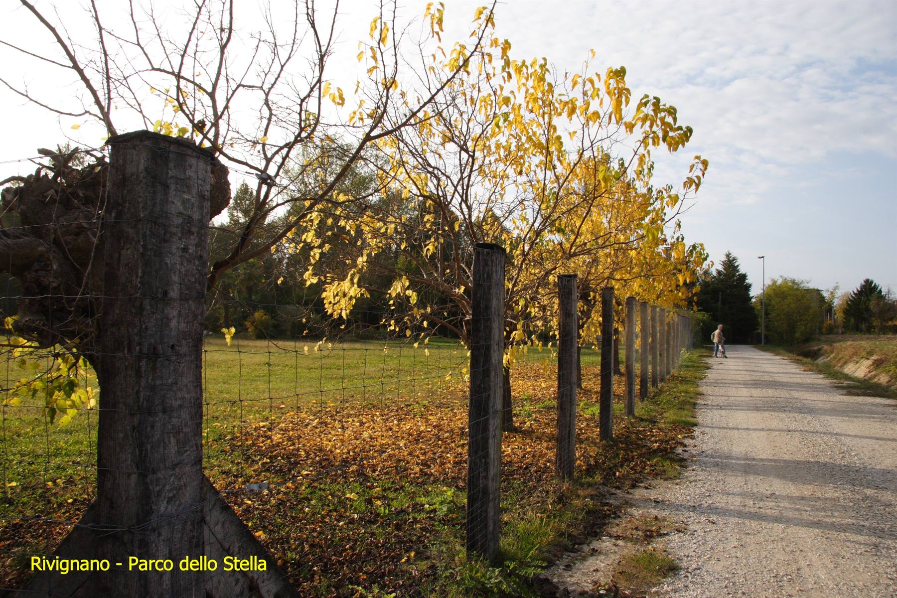 Rivignano - Parco dello Stella