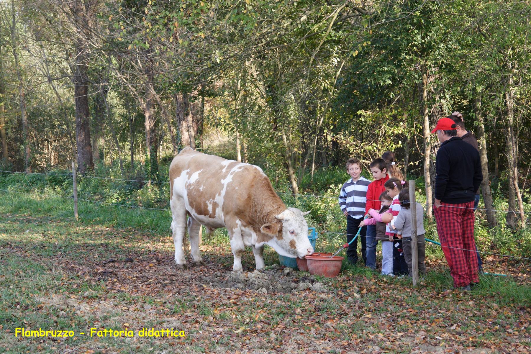Flambruzzo - Fattoria didattica 
