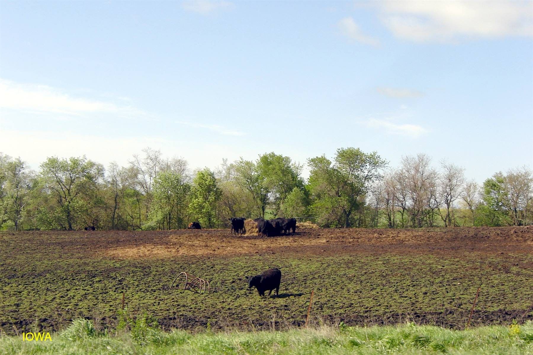 Iowa