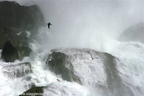 Niagara Falls
