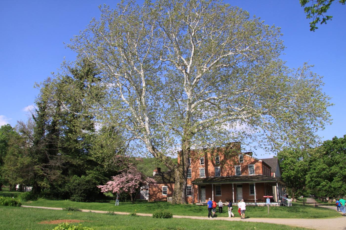 Landys Valley Museum