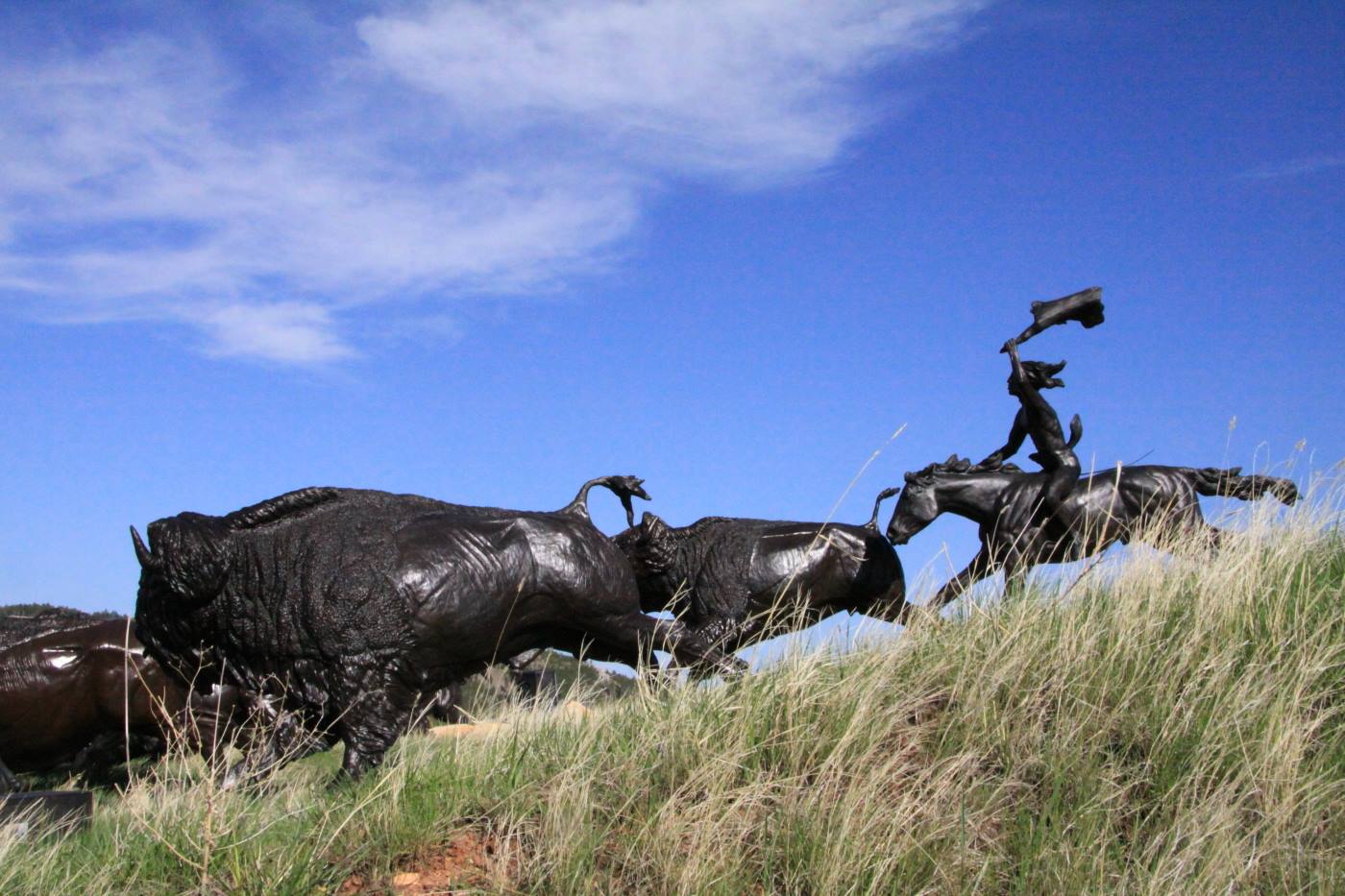 Tatanka Museum