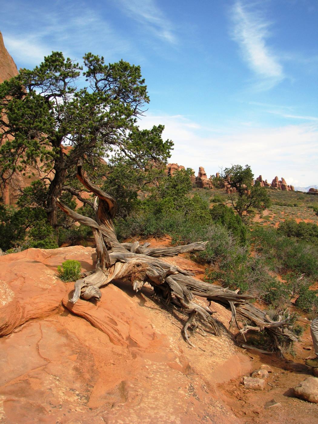 Arches National Park
