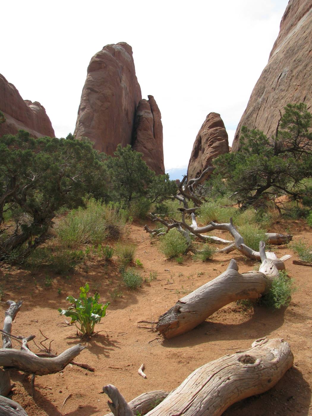 Arches National Park