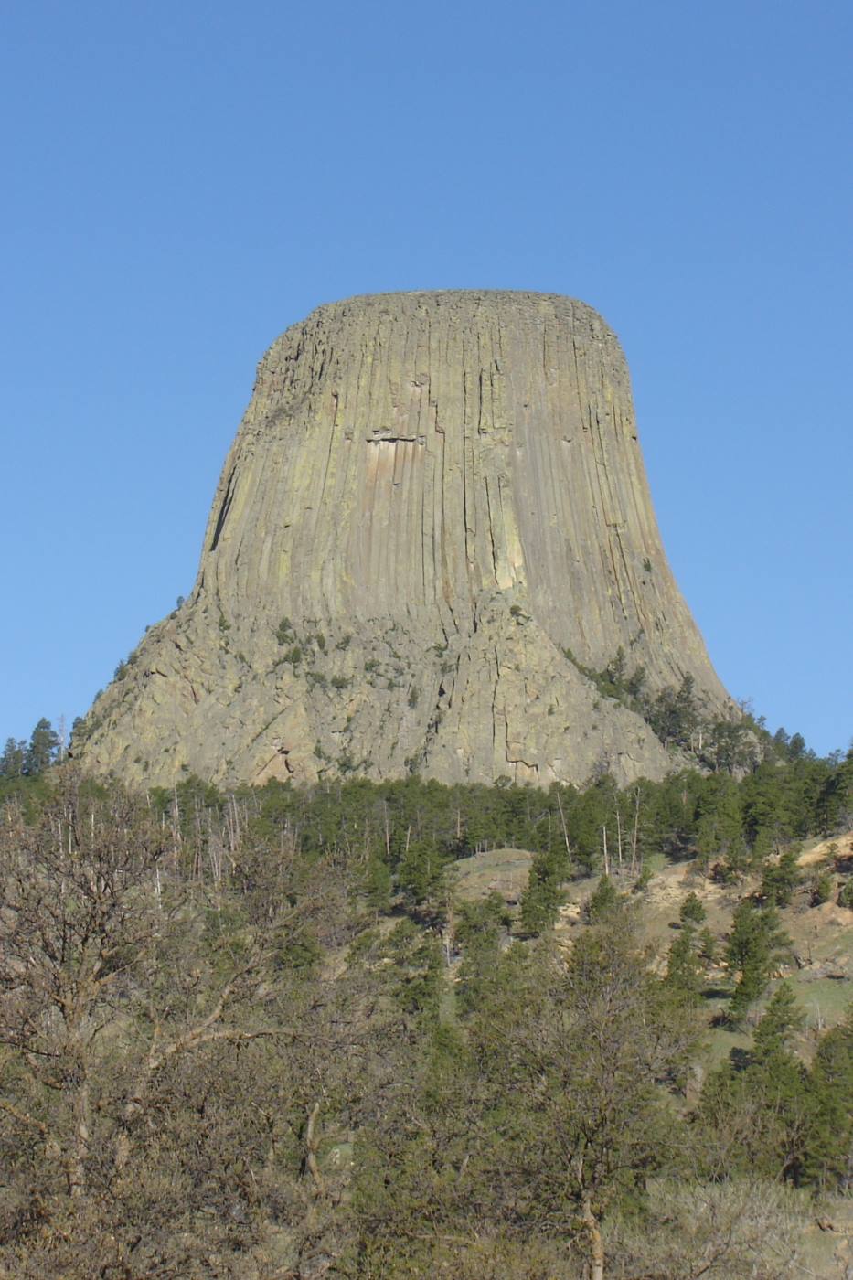 Devil's Tower