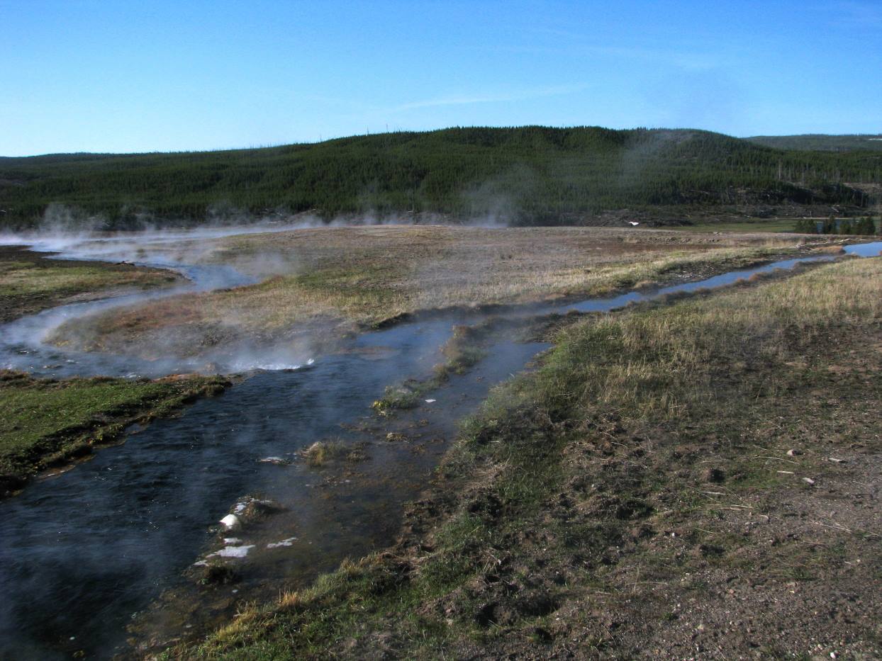 Yellostone Park