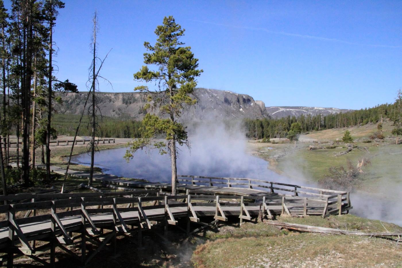 Yellostone Park