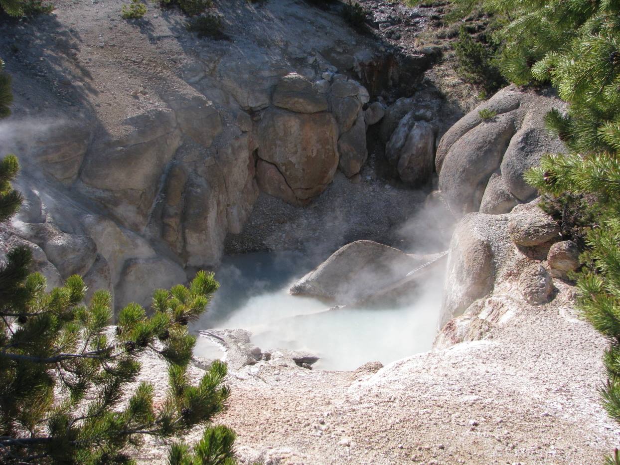 Yellostone Park