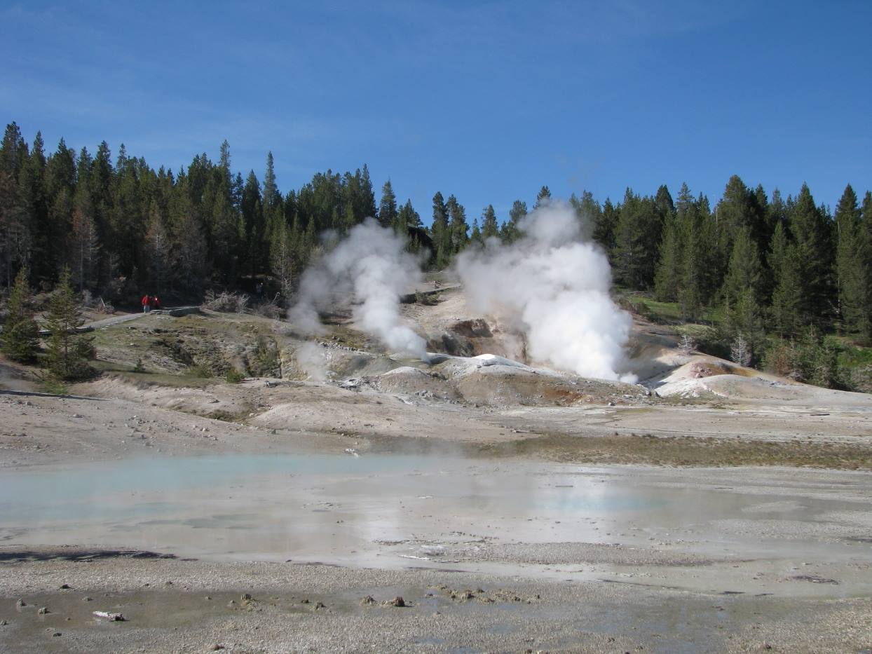 Yellostone Park