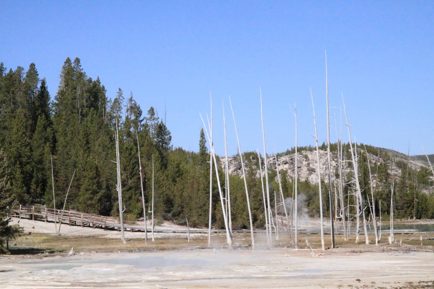 Yellostone Park