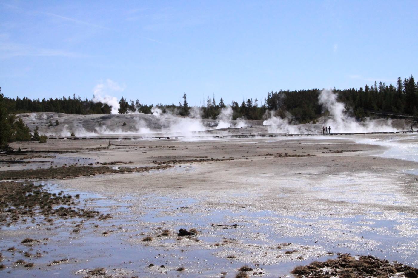 Yellostone Park