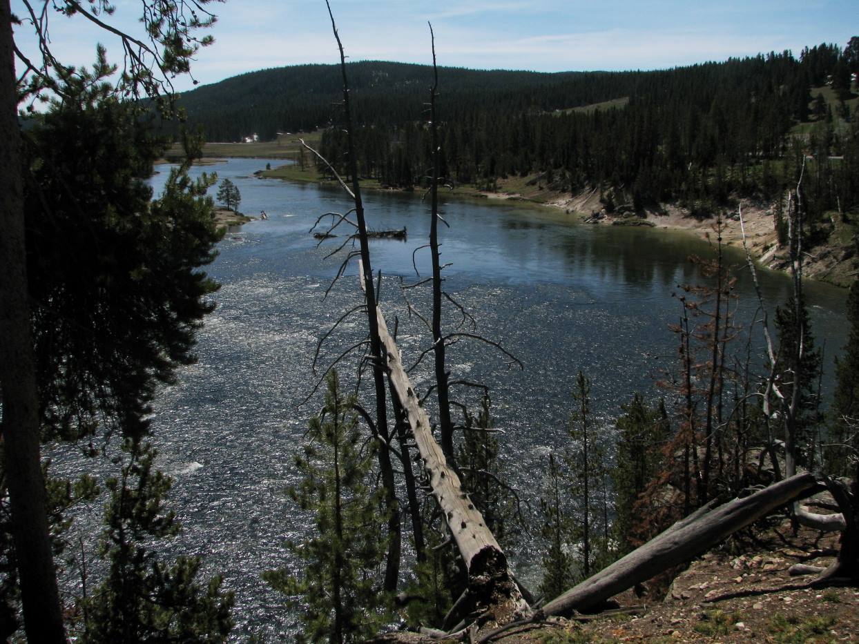 Yellostone Park