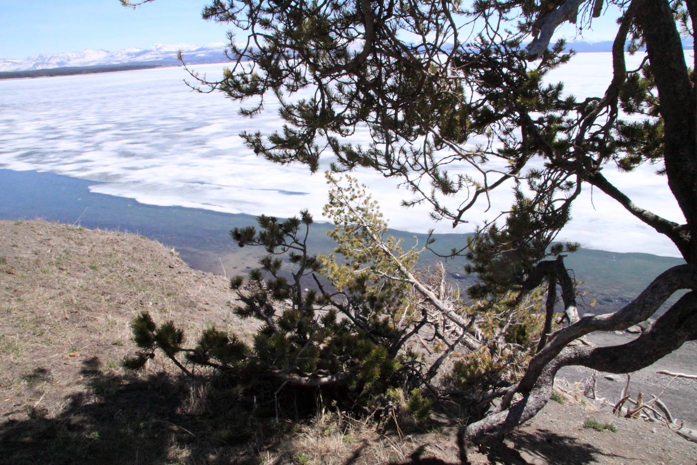 Yellostone Park - Yellostone Lake
