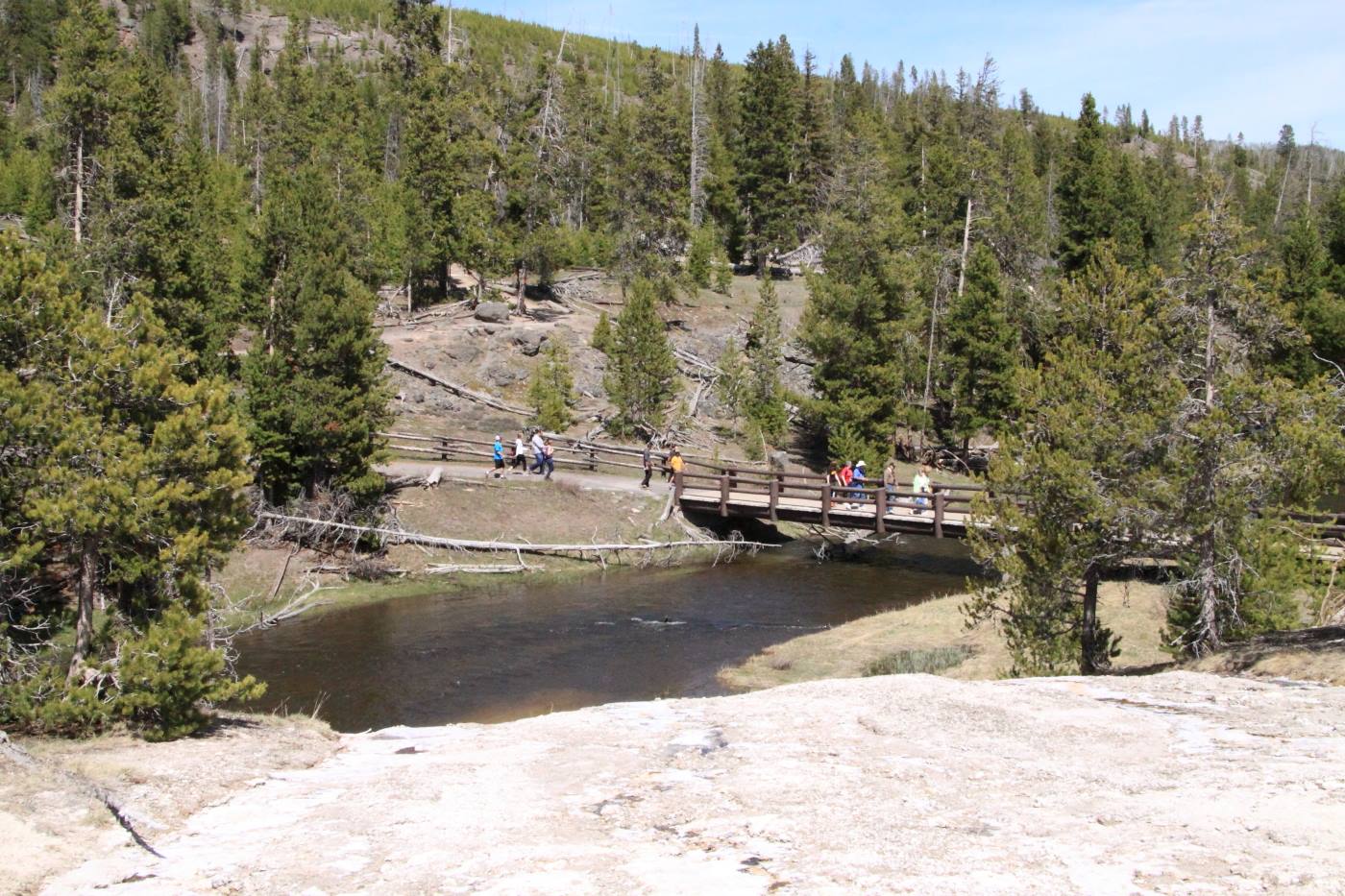 Yellostone Park