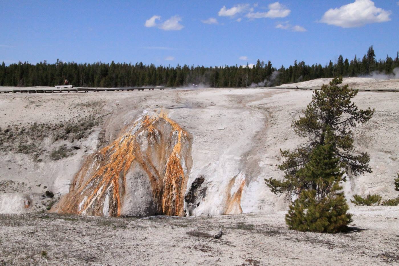 Yellostone Park - Old Faithful Geyser Basin