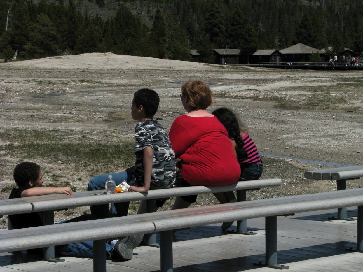 Yellostone Park