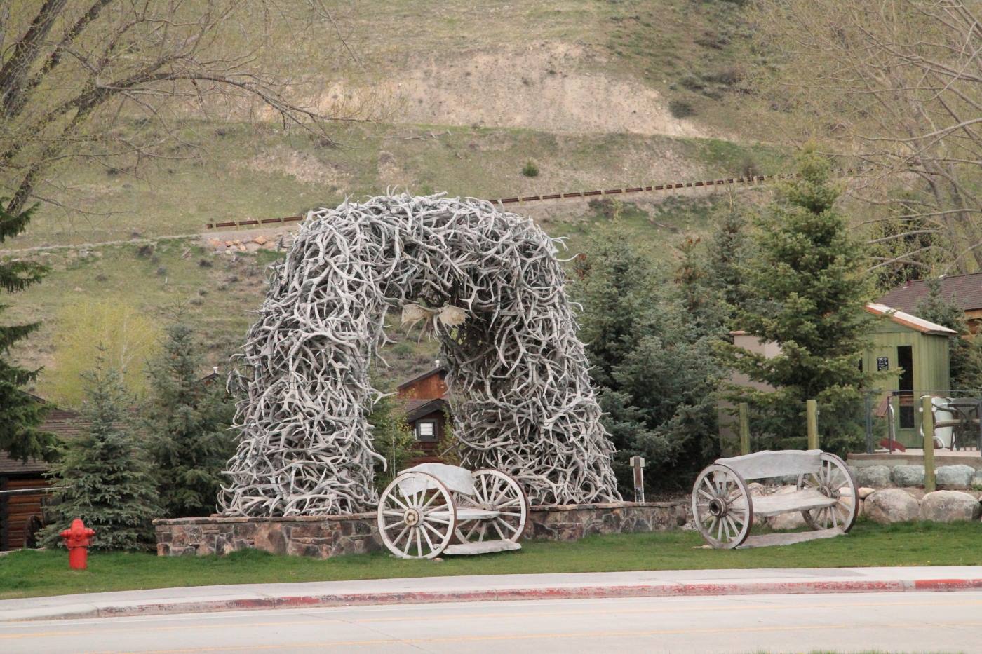 Jackson - National Park