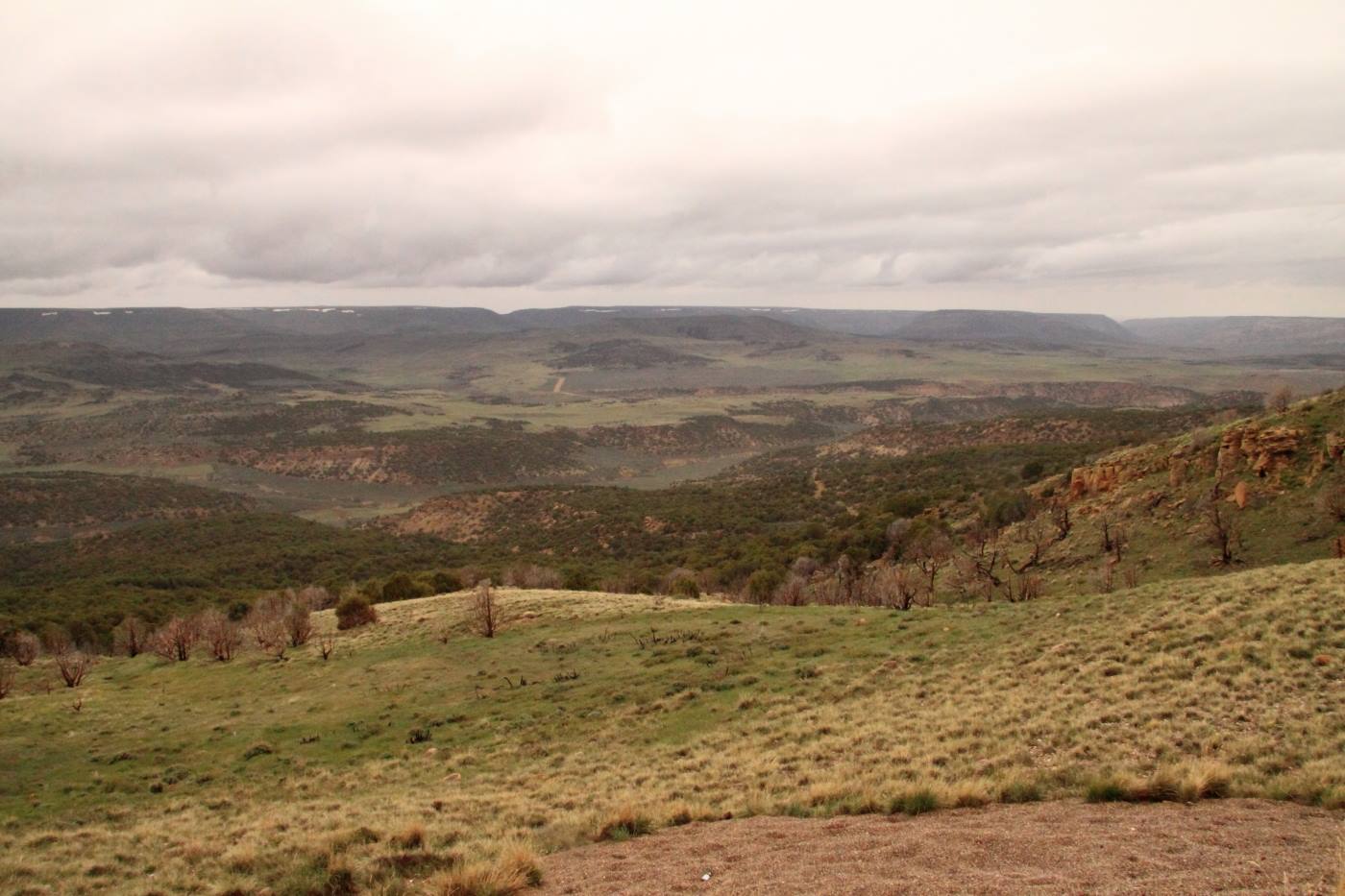 Jackson - National Park
