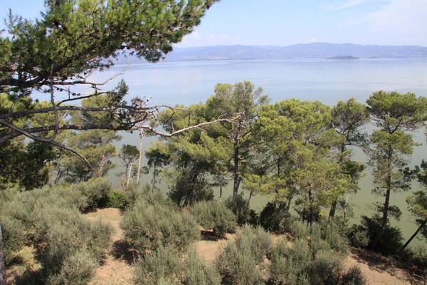 Castiglione del Lago - vista dal Castello