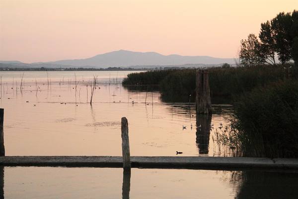Isola Polvese