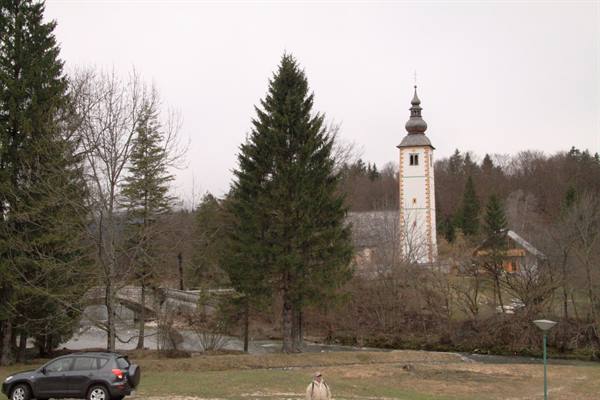 Lago di Bohinj