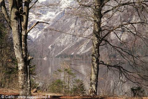 Lago di Bohinj