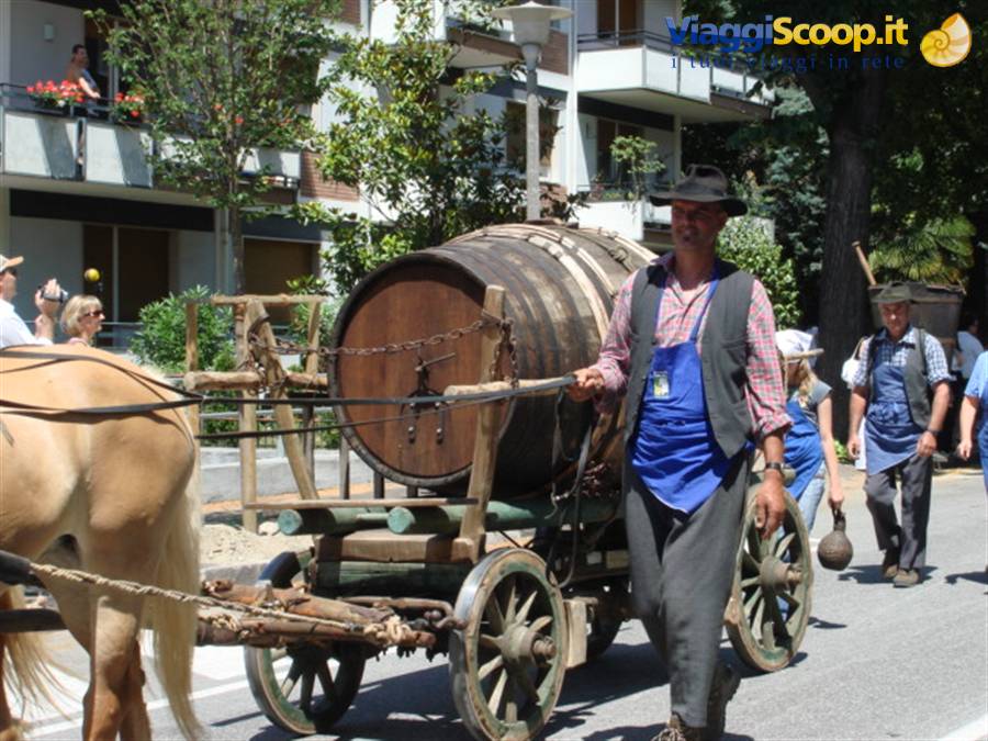 Sfilata per le vie di Merano 5