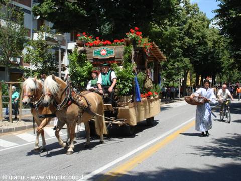 Sfilata per le vie di Merano 7