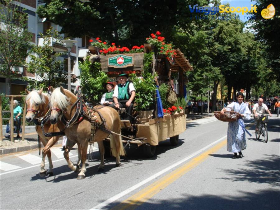 Sfilata per le vie di Merano 7