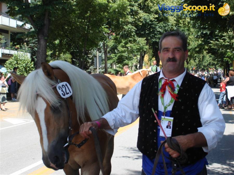 Sfilata per le vie di Merano 11