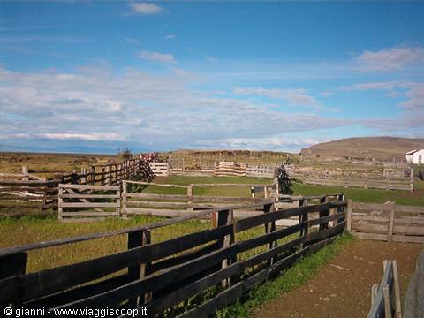 El Calafate, Estancia Alice: recinti per pecore.