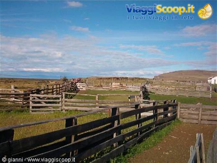 El Calafate, Estancia Alice: recinti per pecore.