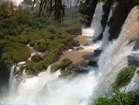 Il salto visto da vicino