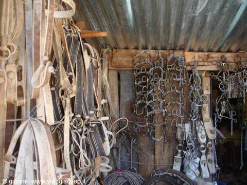In vendita tutto l'occorrente per il Gaucho.